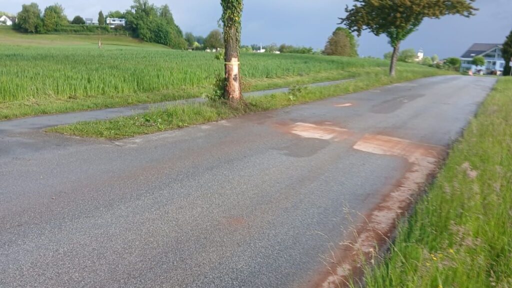 Einsatz: Ölspur / Unfall