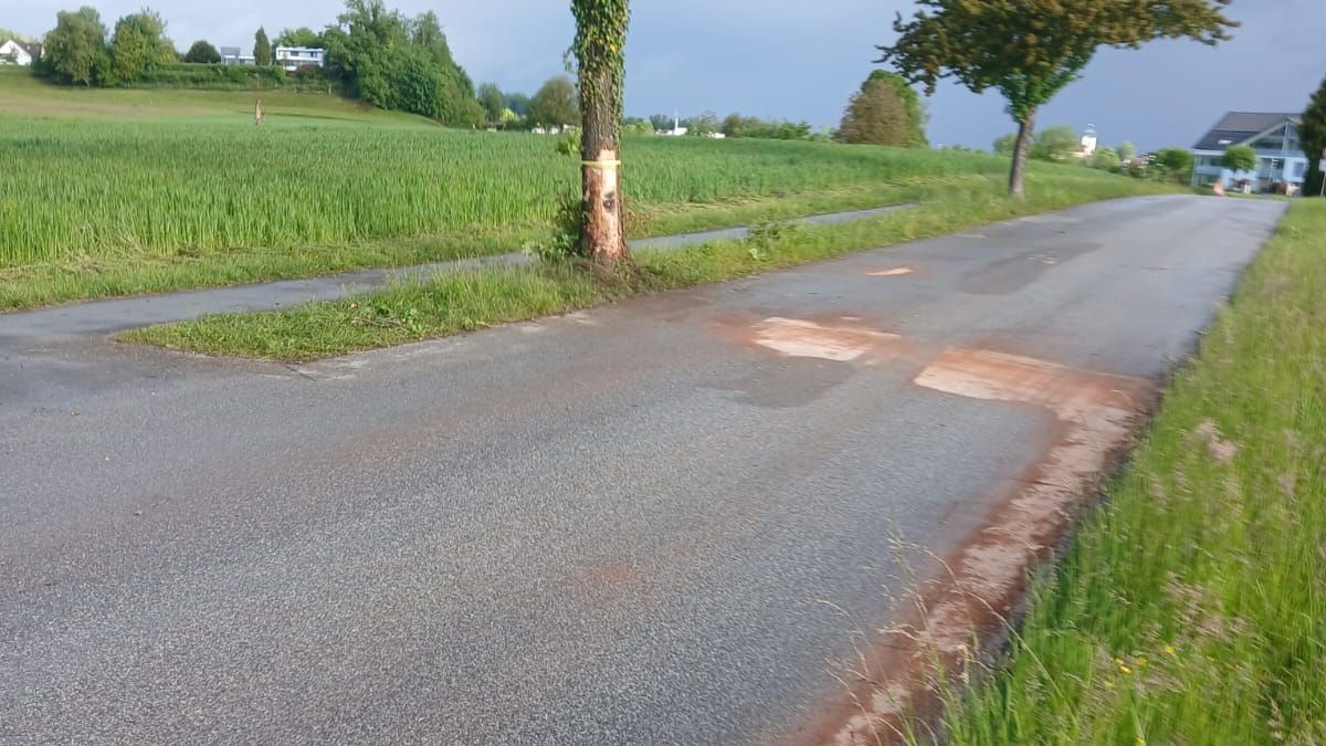 Einsatz: Ölspur / Unfall