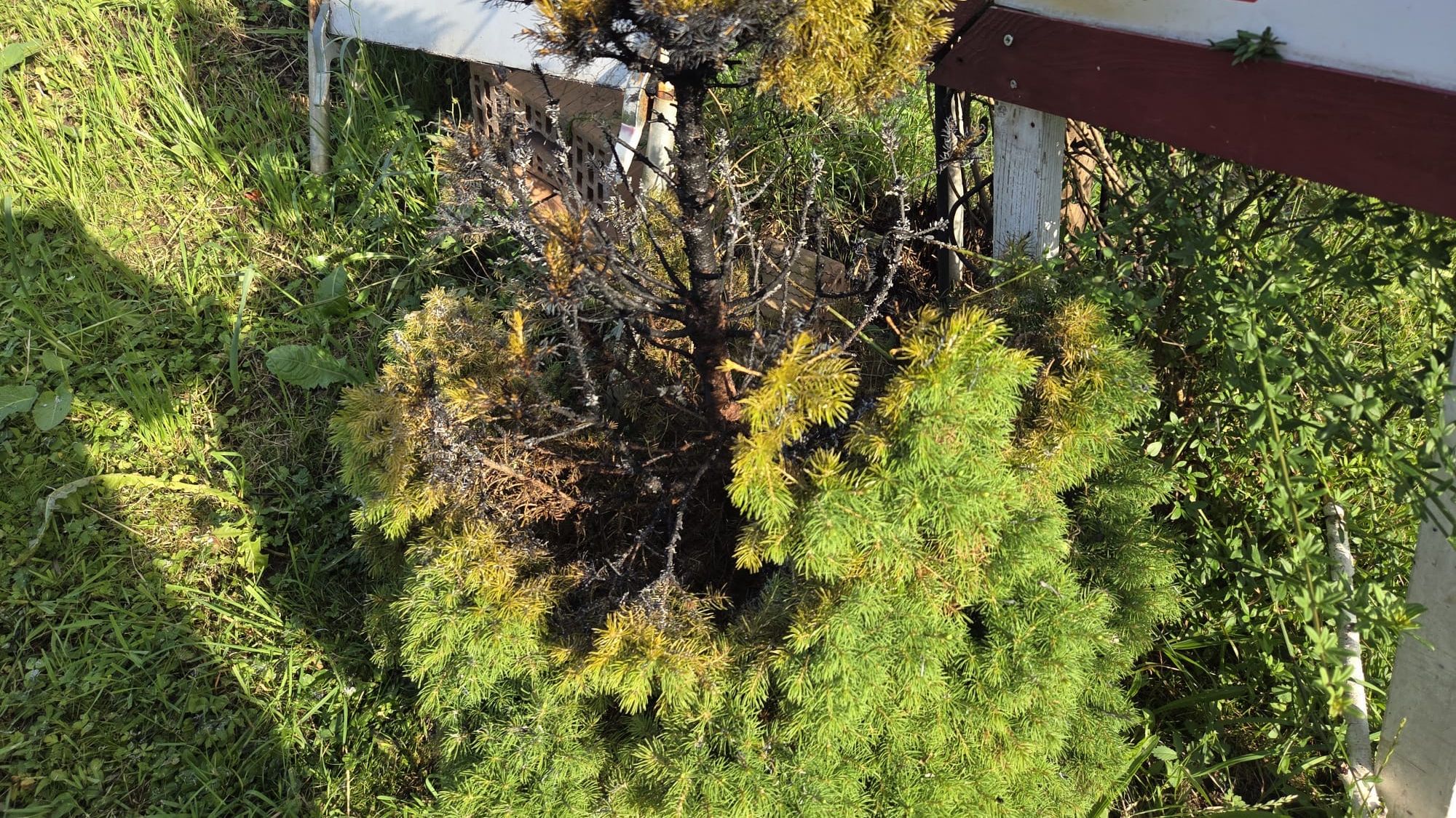 Einsatz: Kleinbrand